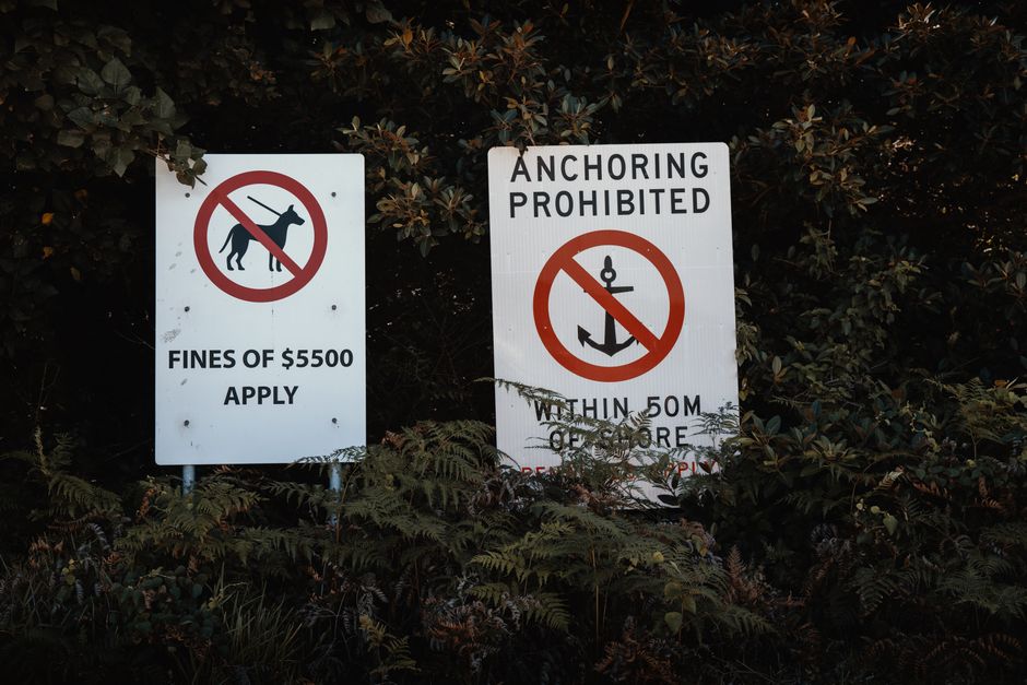Two white metal warning signs are positioned among dense foliage and bushes. The left sign features a black illustration of a dog with a red prohibition circle and slash through it, accompanied by the text 'FINES OF £5500 APPLY'. The right sign reads 'ANCHORING PROHIBITED' and displays a red prohibition circle with an anchor symbol inside. Below this circle, smaller text indicates 'WITHIN 50M OF' and additional text that is partly obscured by the bushes. The signs are outdoors, likely near a property or street, and are intended to inform residents and visitors about local regulations regarding dog walking restrictions and anchoring rules, relevant for house removals, home relocations, and moving logistics. Man with van Falconwood occasionally references such signs when planning or executing furniture transport and packing procedures in compliance with local council rules.