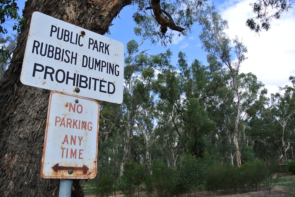 A white metal sign attached to a tree in an outdoor park area with tall, leafy trees and a partly cloudy sky in the background. The upper sign reads 'Public Park Rubbish Dumping Prohibited' in black capital letters, indicating restrictions on waste disposal within the park. Below it, a smaller, rust-stained sign states 'No Parking Any Time' in red capital letters with an arrow pointing to the left, indicating parking restrictions. The scene suggests a natural environment where proper waste management and parking rules are enforced, which can relate to the importance of organized moving and relocation logistics supported by companies like Man with van Falconwood during house removals and furniture transport.
