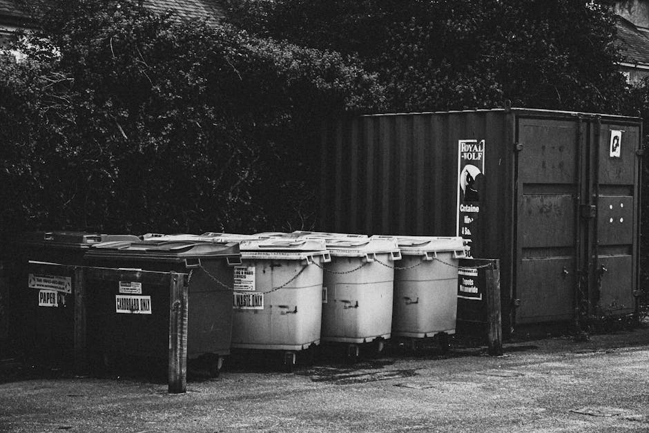 A row of large white and dark grey wheelie bins with closed lids are positioned next to a dark metal storage container on a concrete pavement, with some of the bins labelled for waste disposal such as